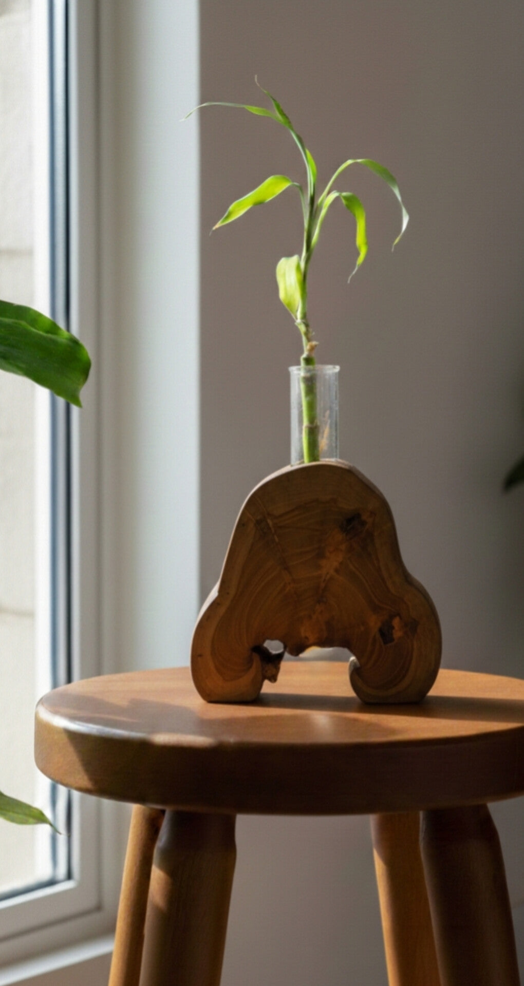 Handcrafted Teakwood Planter with Glass Tube | Natural Wooden Hydroponic Plant Holder for Luxury Home Décor