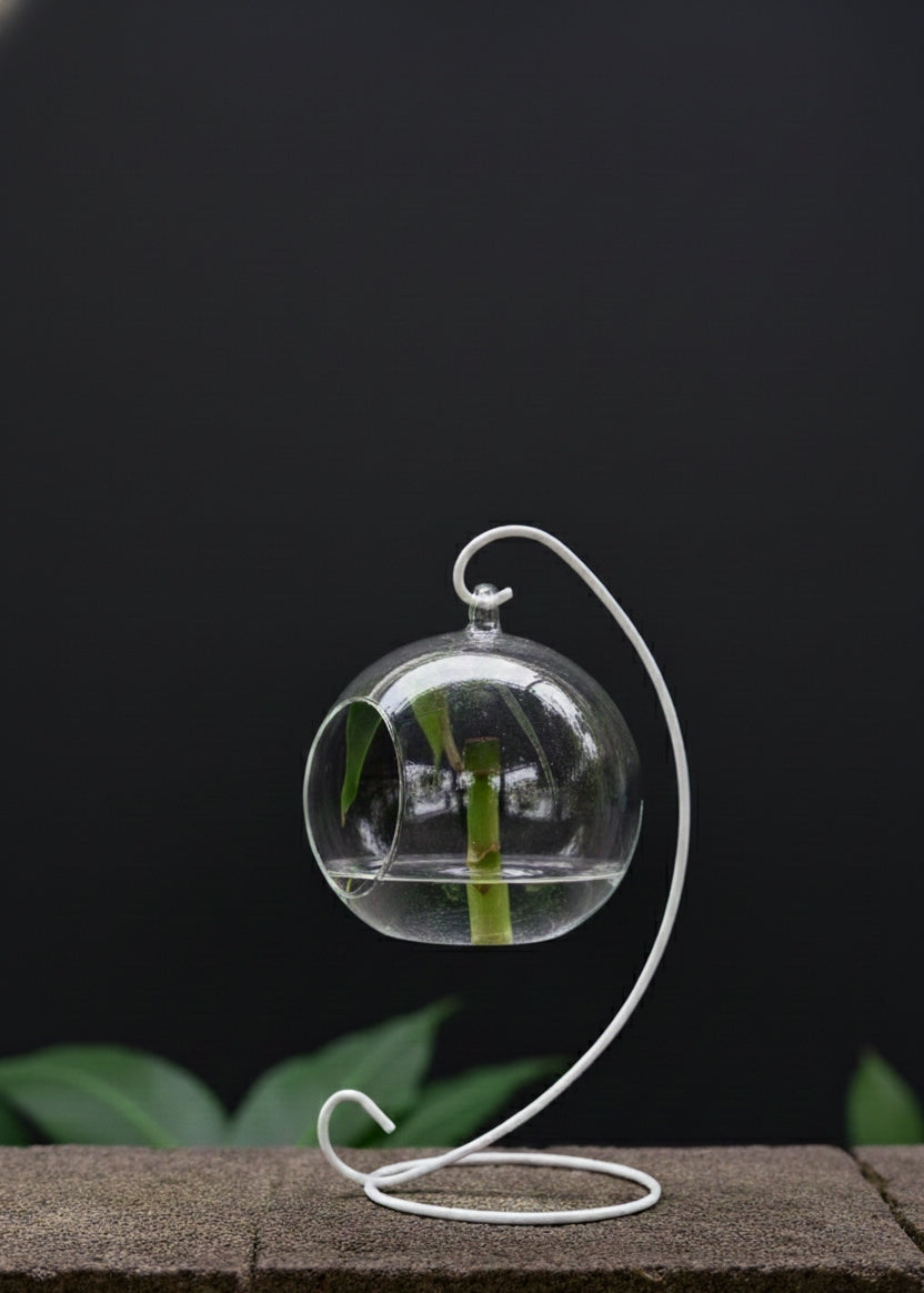 Hanging Glass Bowl Planter with Metal Stand | Modern Terrarium for Indoor Plants & Home Décor