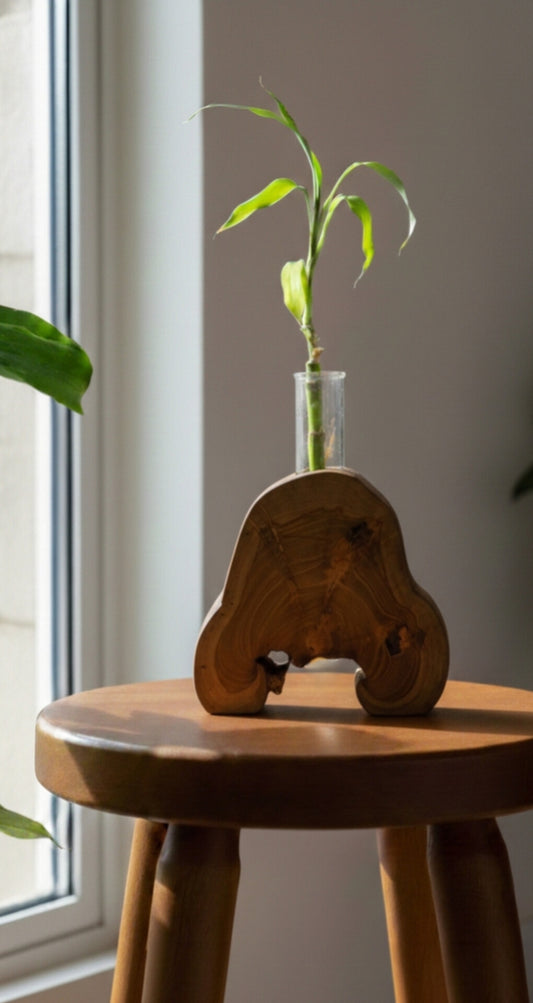 Handcrafted Teakwood Planter with Glass Tube | Natural Wooden Hydroponic Plant Holder for Luxury Home Décor