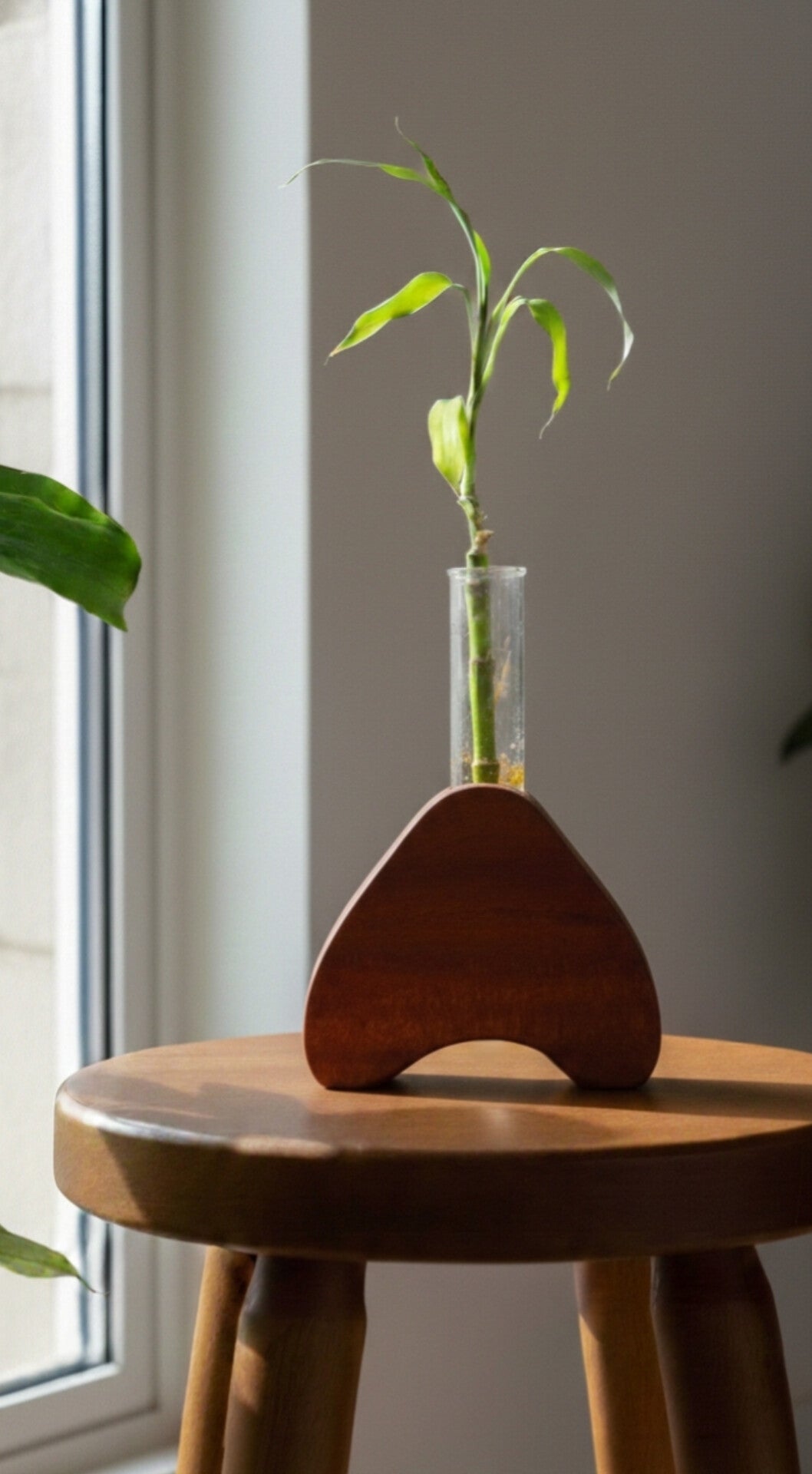 Heart-Shaped Planter with Glass Tube | Romantic Wooden Hydroponic Plant Holder for Home Décor & Gifting