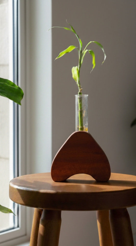 Heart-Shaped Planter with Glass Tube | Romantic Wooden Hydroponic Plant Holder for Home Décor & Gifting