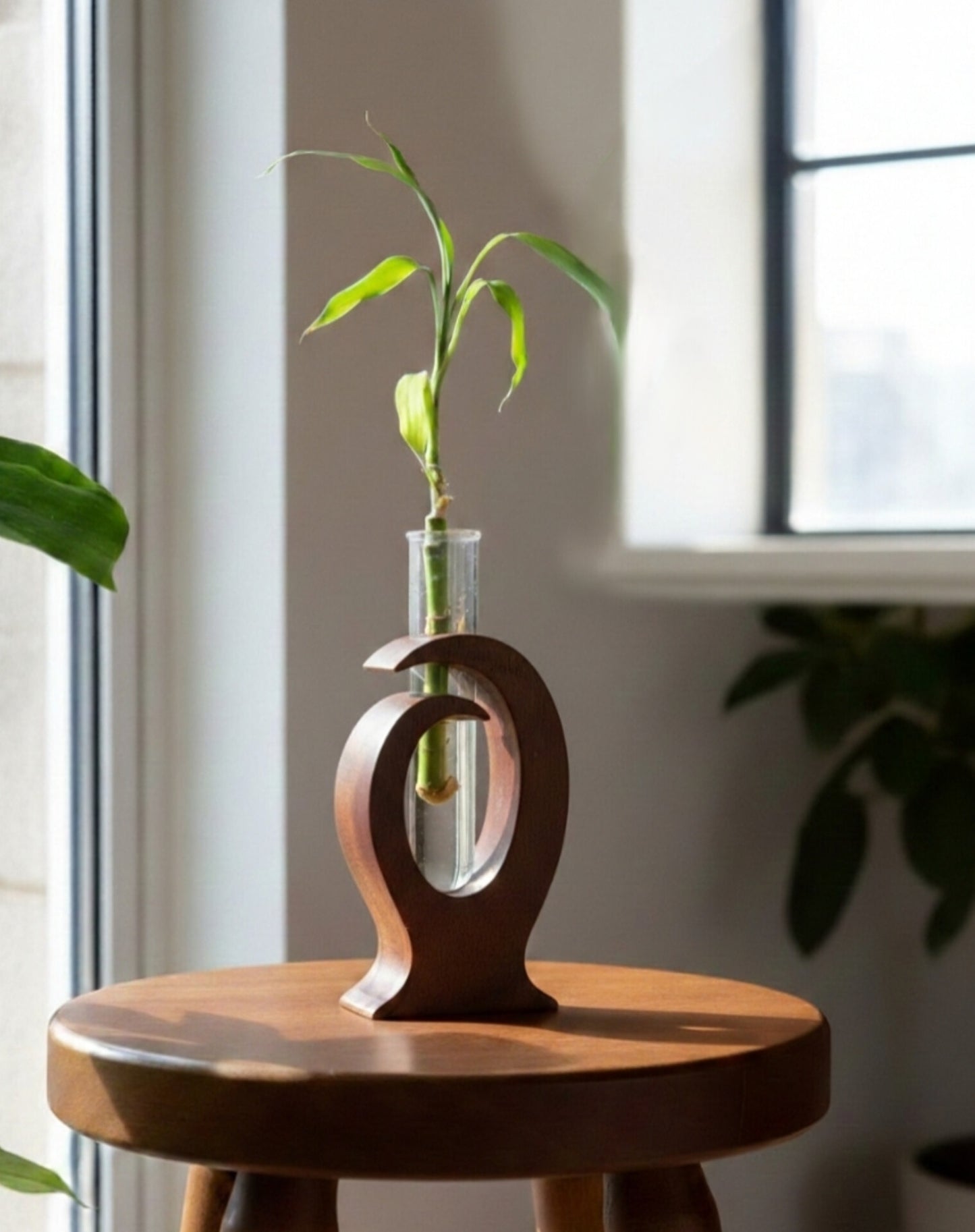 Designer Wooden Sculptural Planter with Glass Tube | Modern Hydroponic Plant Holder for Home & Office Décor