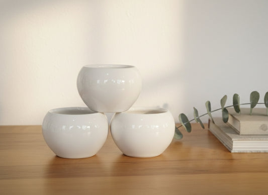 Minimal White Ceramic Planter Bowl Set|3 piece combo