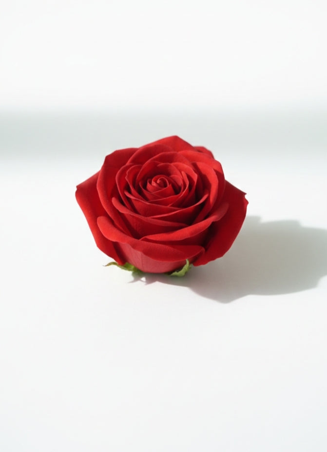 Love & Surprise Gift Set| special for women