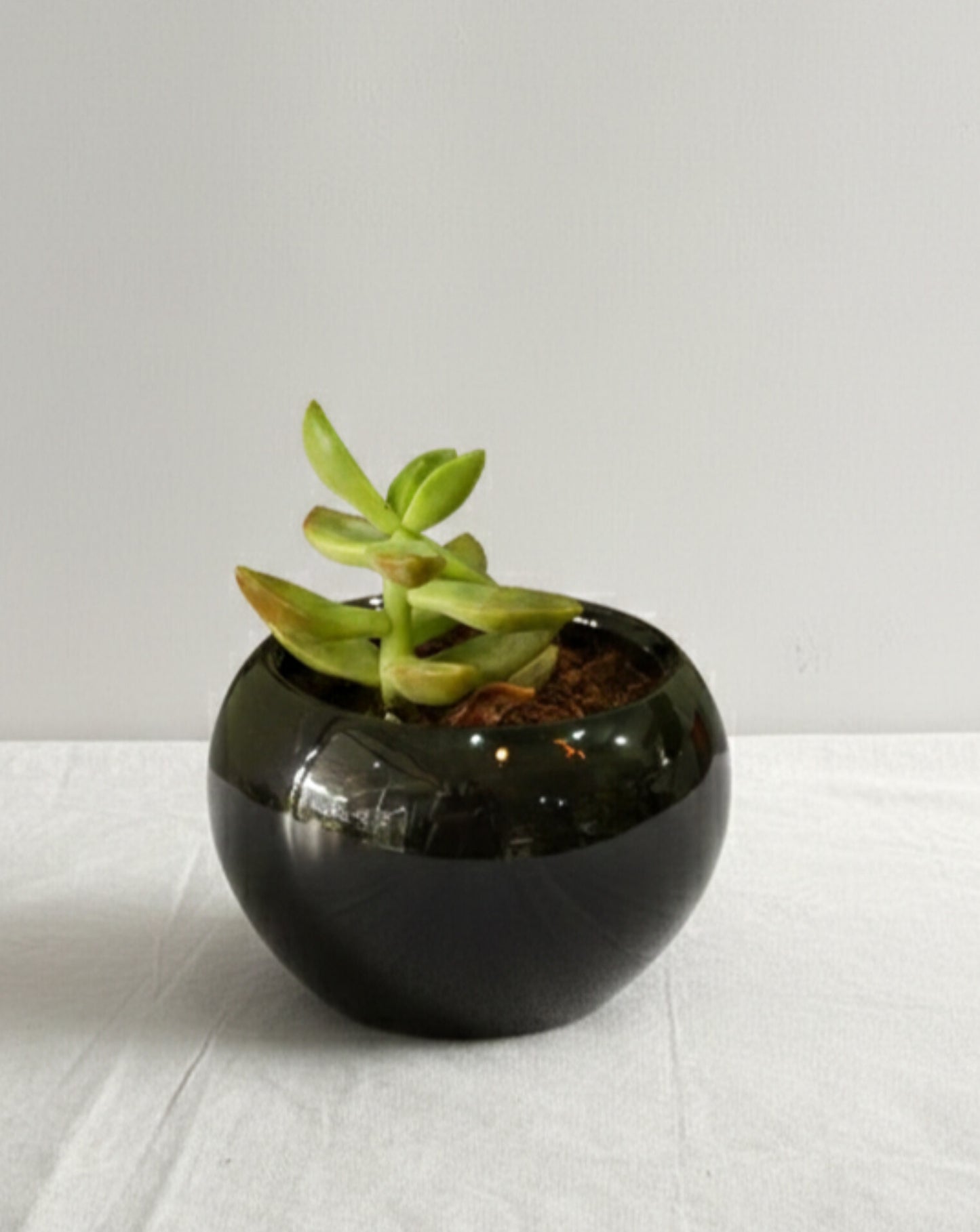 Ramadan Islamic Home Décor Gift Set | Black & Gold Eid Decoration | Islamic Calligraphy Shelf Display