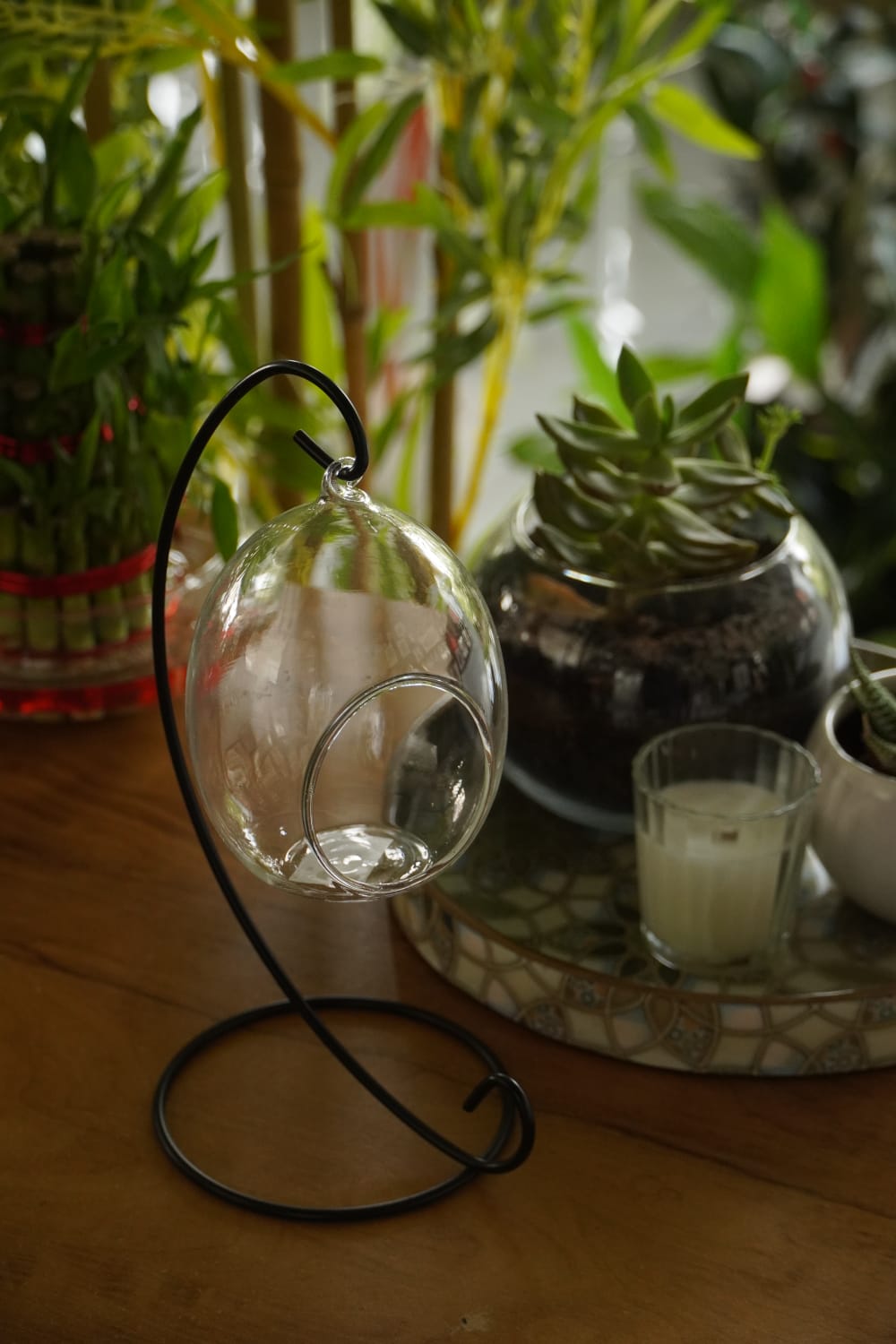 Modern Hanging Glass Terrarium Bowl with Metal Stand(Oval Shape) – Decorative Tabletop Planter for Succulents & Indoor Plants