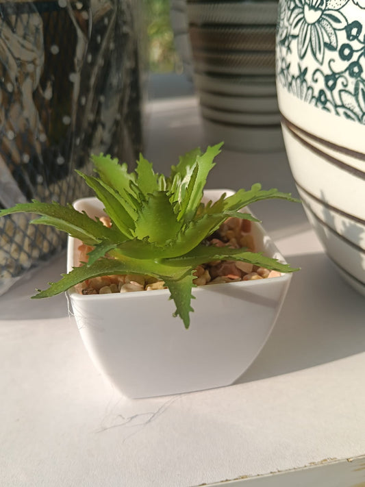Artificial Aloe Vera Succulent Plant in White Plastic Pot