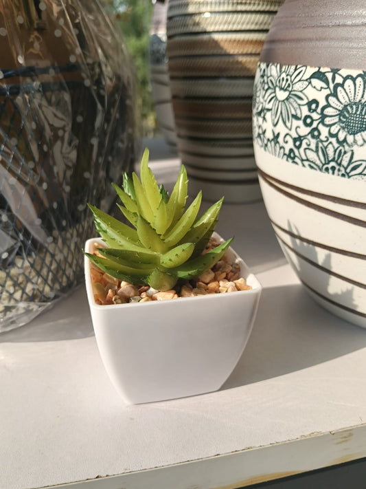 Artificial Succulent Plant in White Plastic Pot