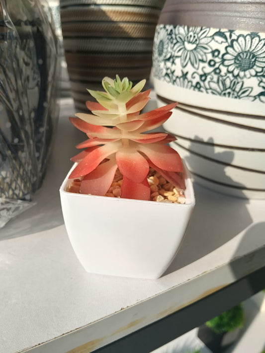 Artificial Colorful Succulent Plant in White Plastic Pot