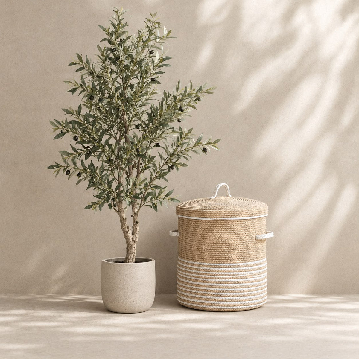 Olive Plant & Woven Laundry Basket Combo