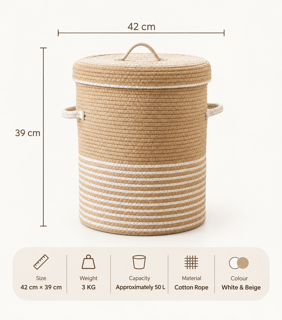 Olive Plant & Woven Laundry Basket Combo