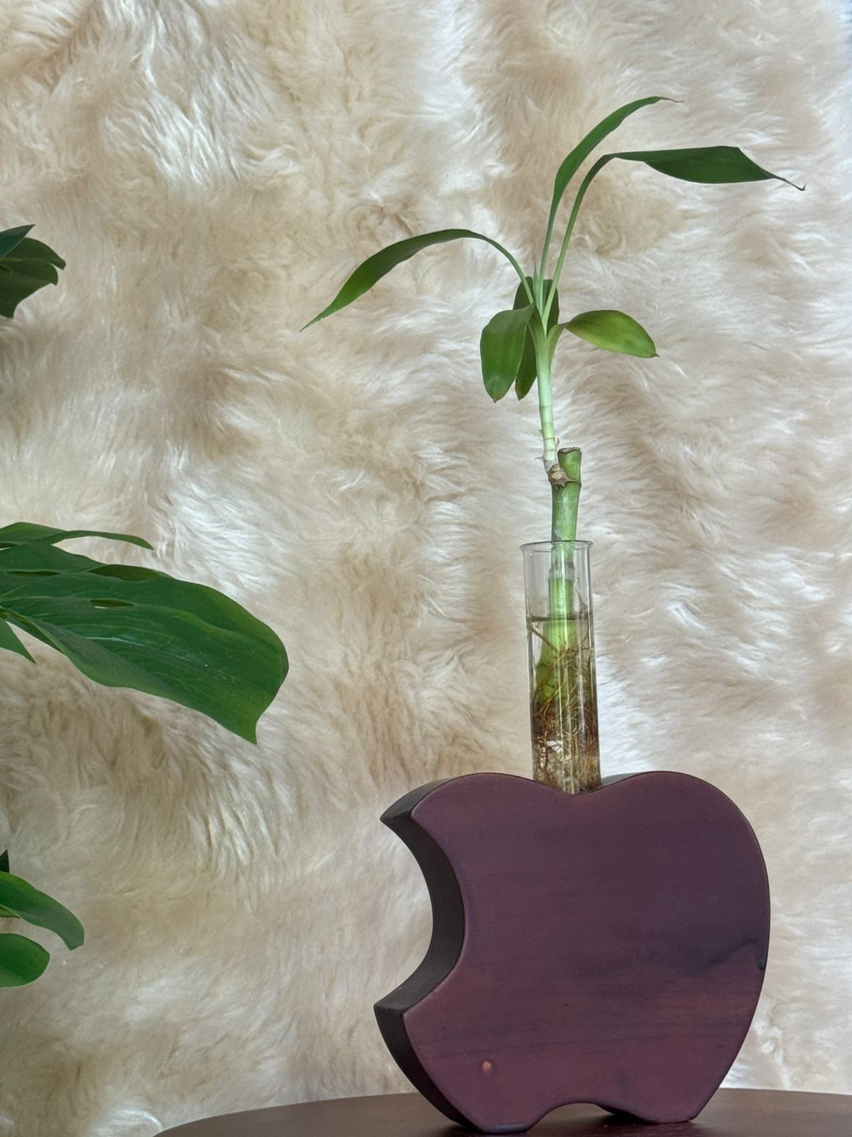 Modern Wooden Planter with Glass Tube | Minimalist Hydroponic Plant Holder for Home & Office Décor