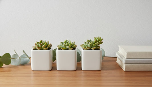 🤍 Mini White Ceramic Pots for Plants & Décor