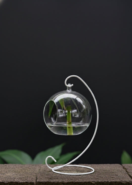 Hanging Glass Bowl Planter with Metal Stand | Modern Terrarium for Indoor Plants & Home Décor