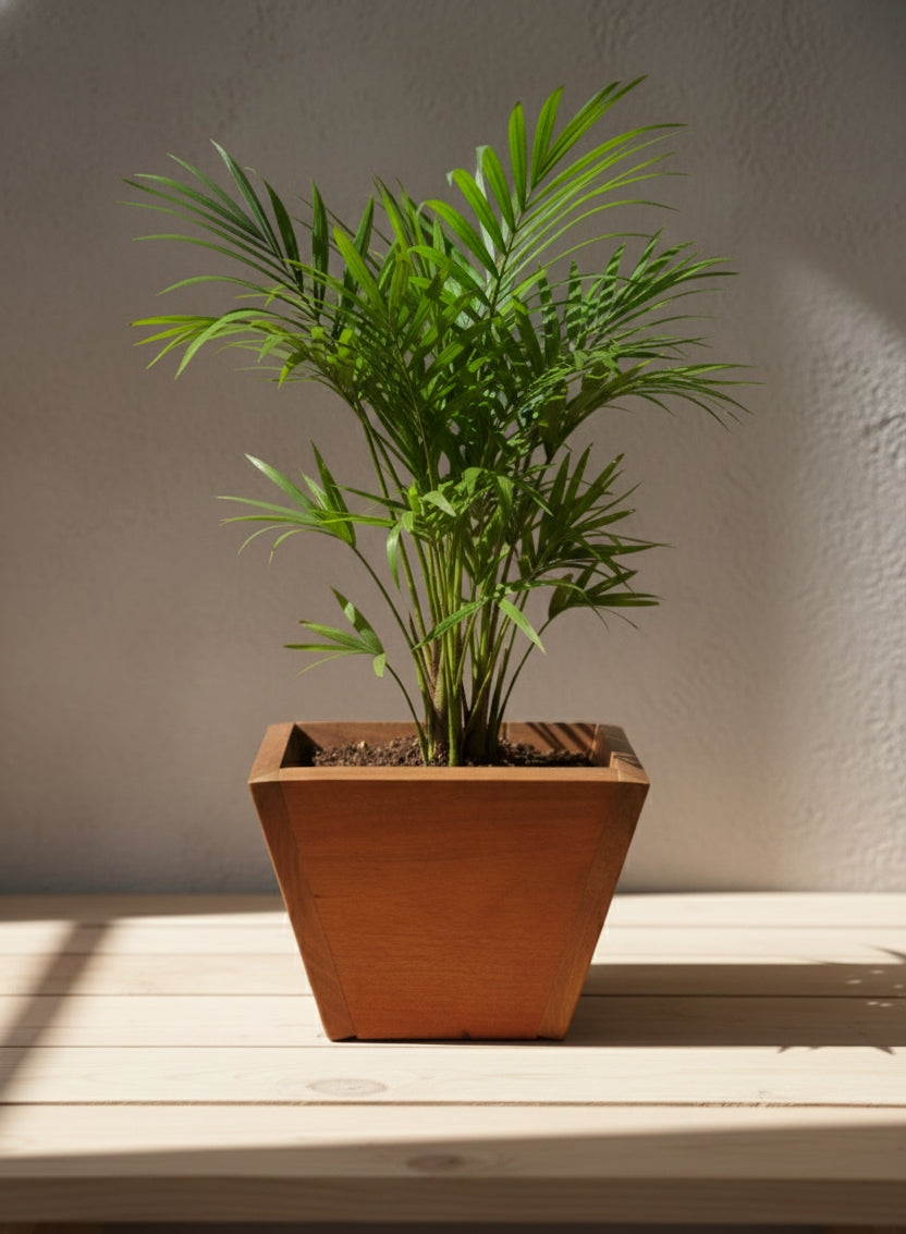 Contemporary Wooden Planter Pot