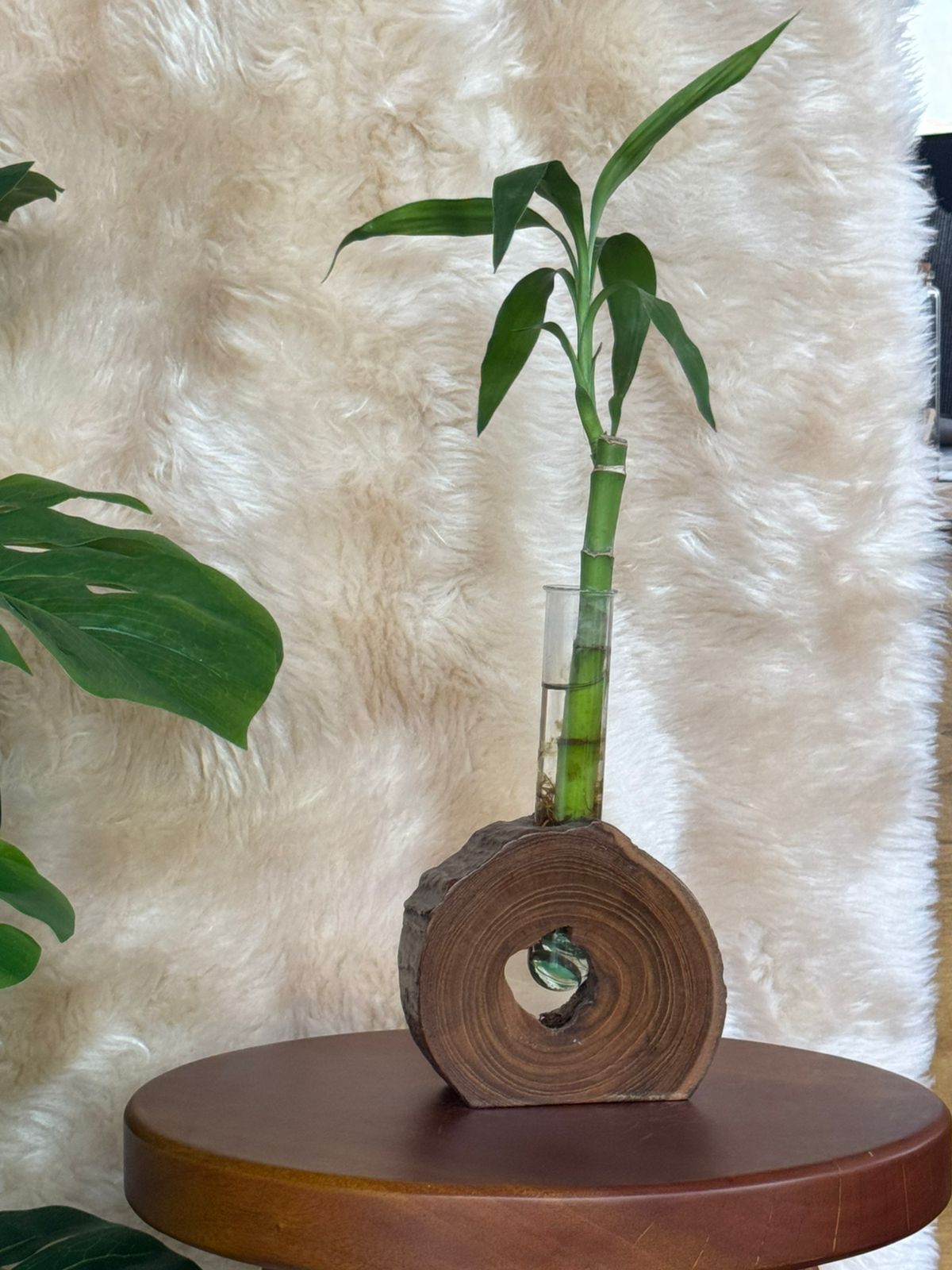 Handcrafted Circular Wooden Planter with Glass Tube | Modern Hydroponic Plant Holder for Home & Office Décor