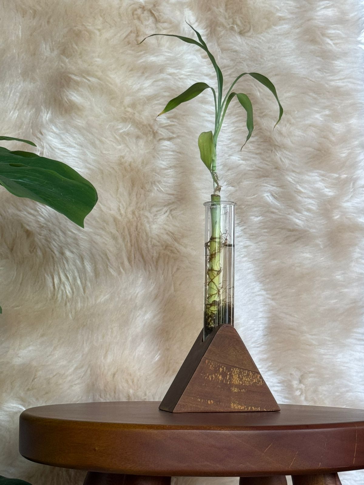 Minimalist Triangular Wooden Planter with Glass Tube | Modern Hydroponic Plant Holder for Home & Office Décor