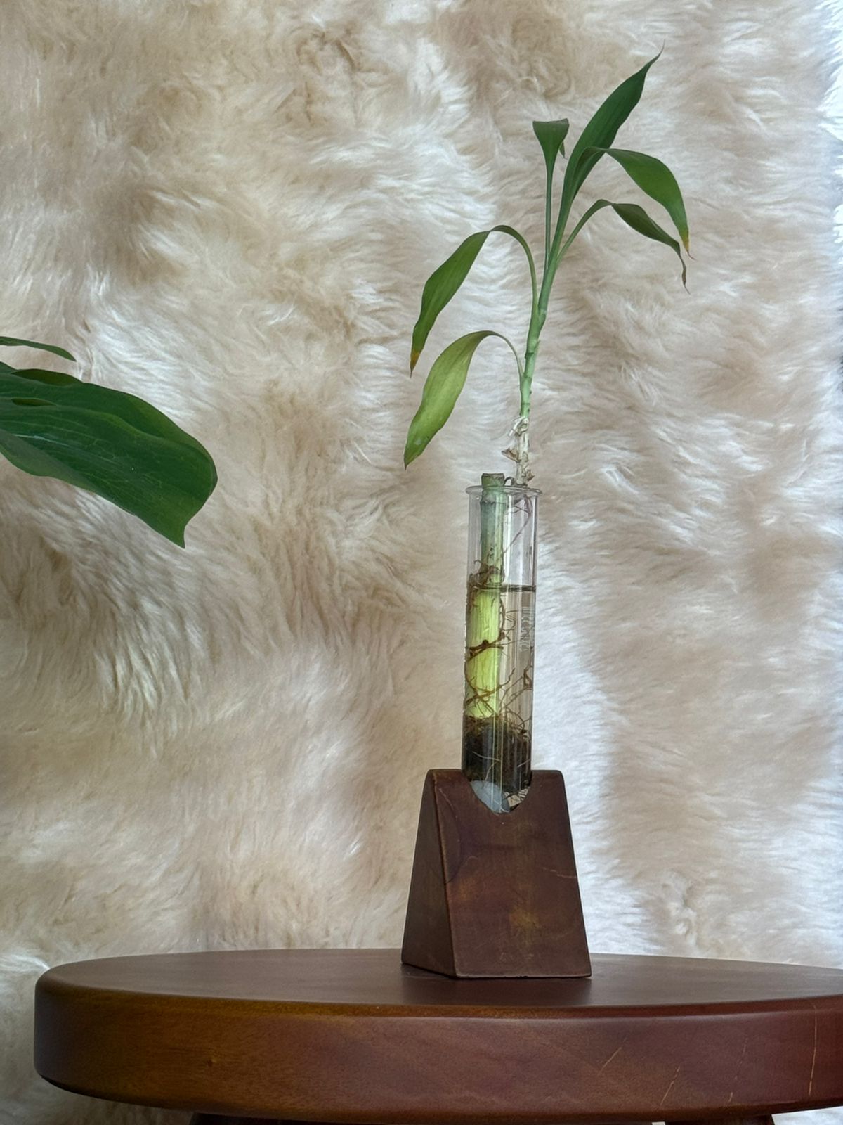 Minimalist Triangular Wooden Planter with Glass Tube | Modern Hydroponic Plant Holder for Home & Office Décor